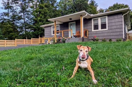 Grovemont Retro Retreat