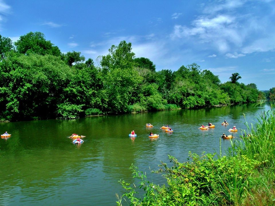 People floating on colorful tubes down the French Broad River in Asheville, NC, surrounded by lush green trees under a bright blue summer sky.