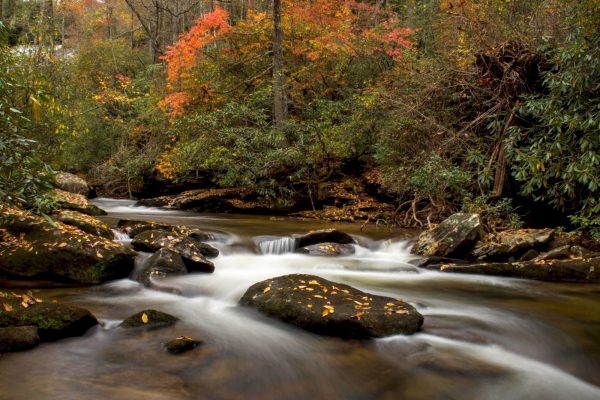 best time to visit asheville nc in the fall