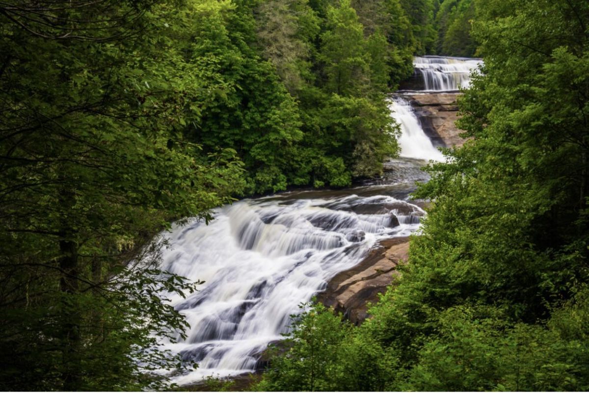 Stunning view of DuPont State Forest featuring dense woods and a stream