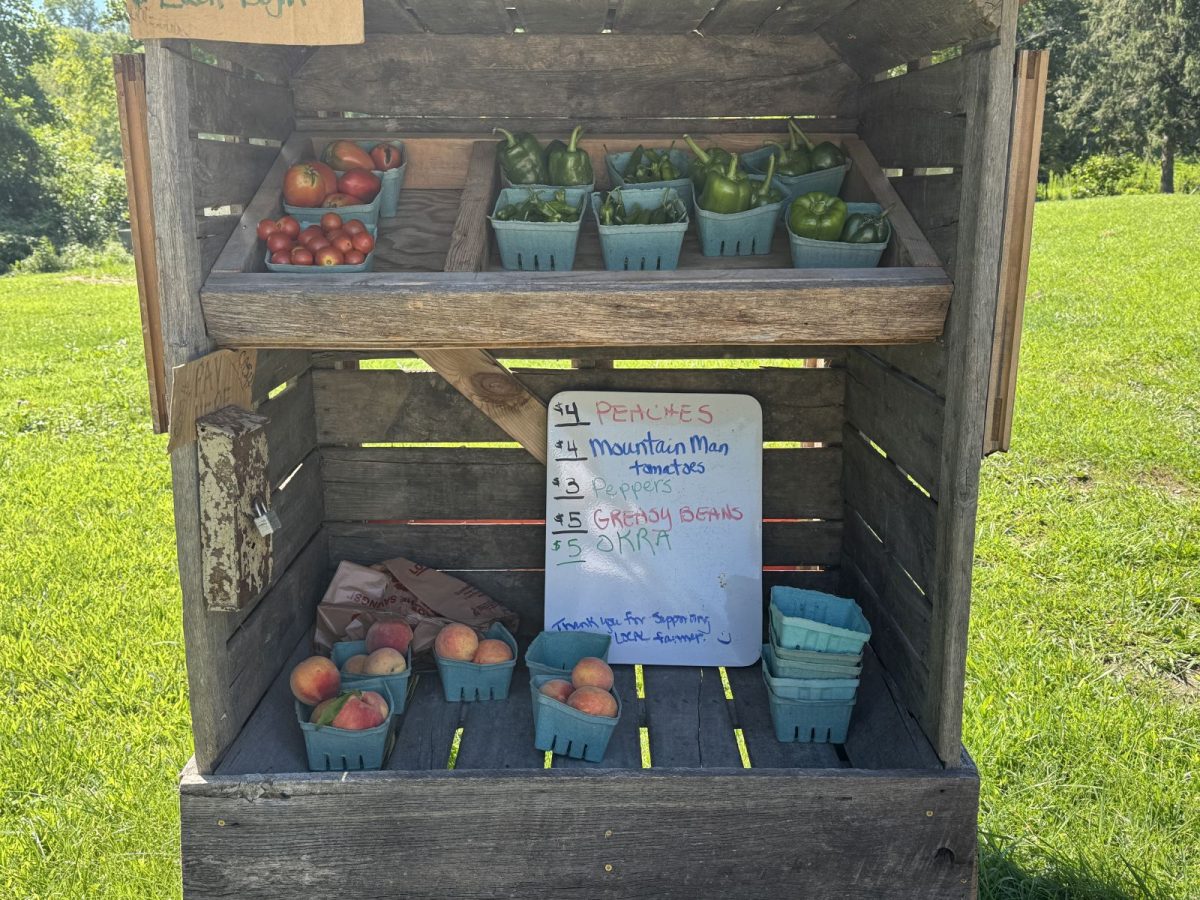Small farmstand on the Ecusta Trail