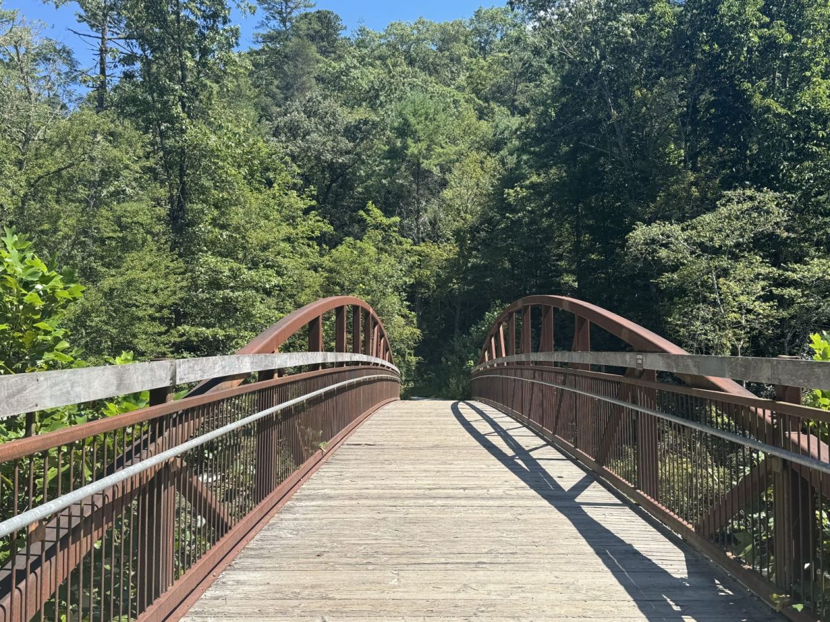 Walking bridge in the forest
