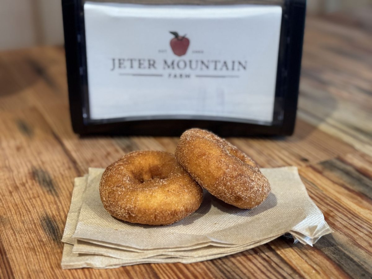 Two doughnuts