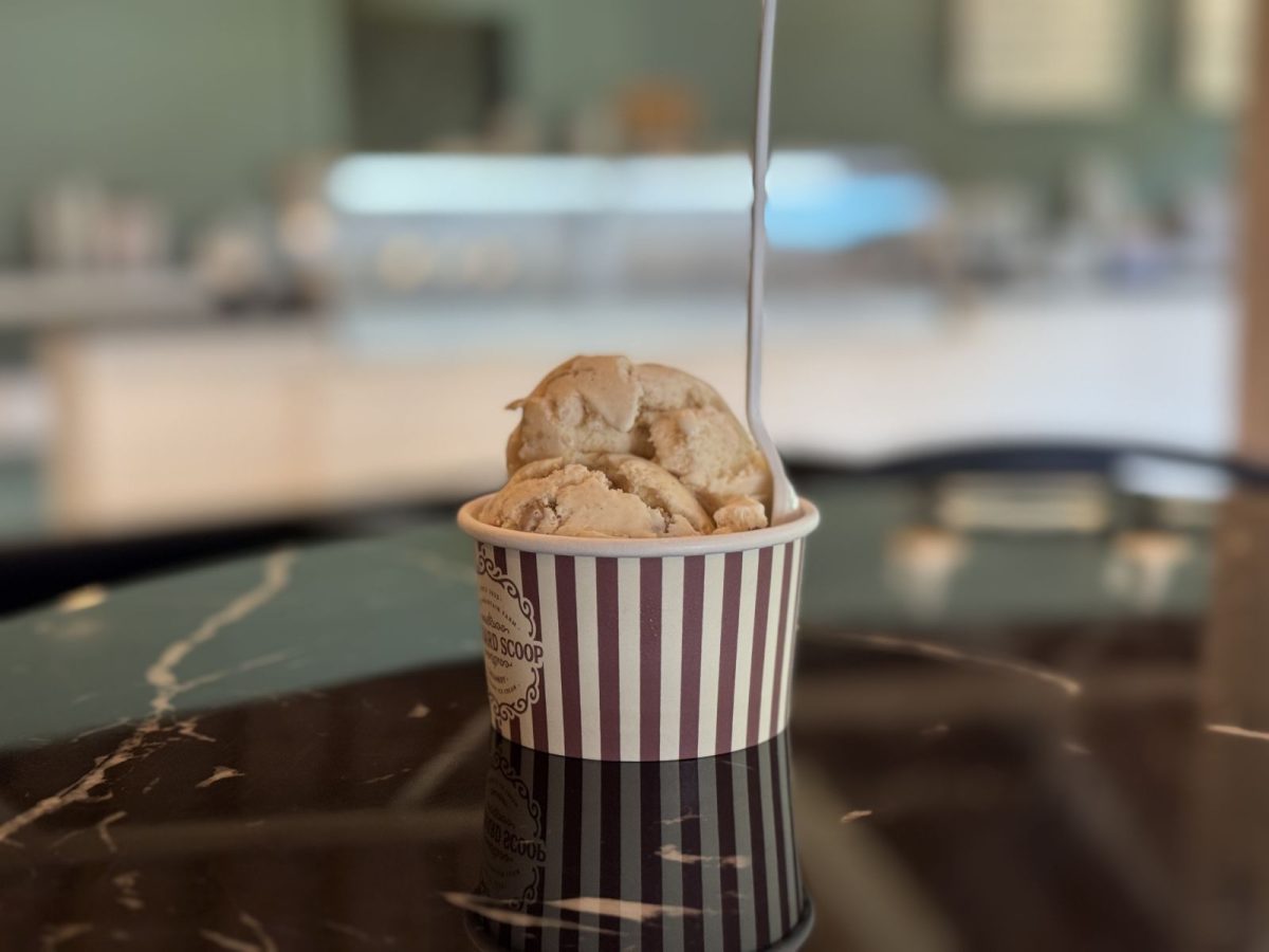 A scoop of ice cream in a cup with a spoon