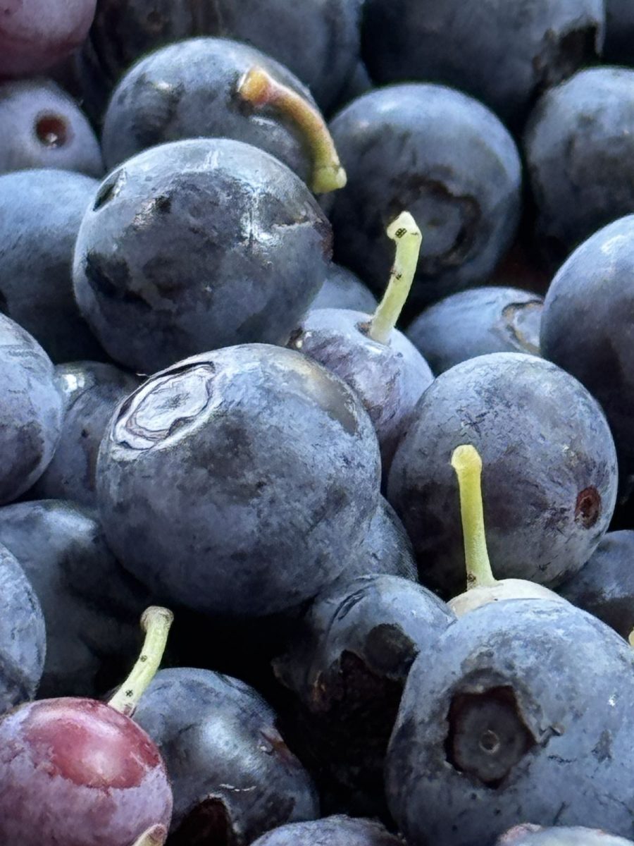 Blueberries
