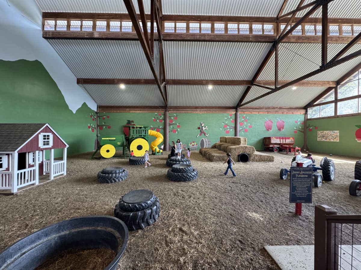 An indoor kids playground