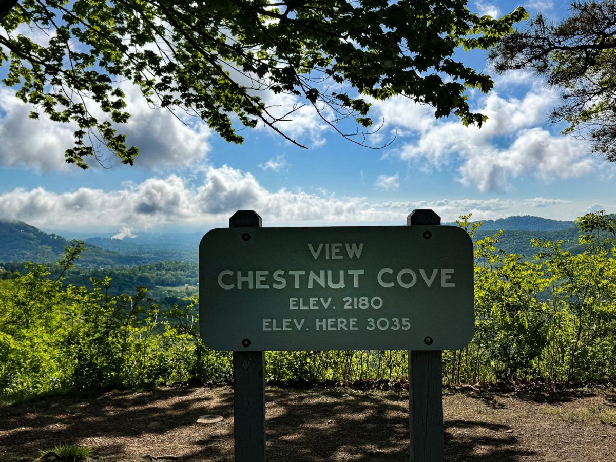 View Chestnut Cove overlook sign along the Blue Ridge Parkway with sweeping views of the Blue Ridge Mountains, rolling valleys, and a bright blue sky framed by leafy trees.