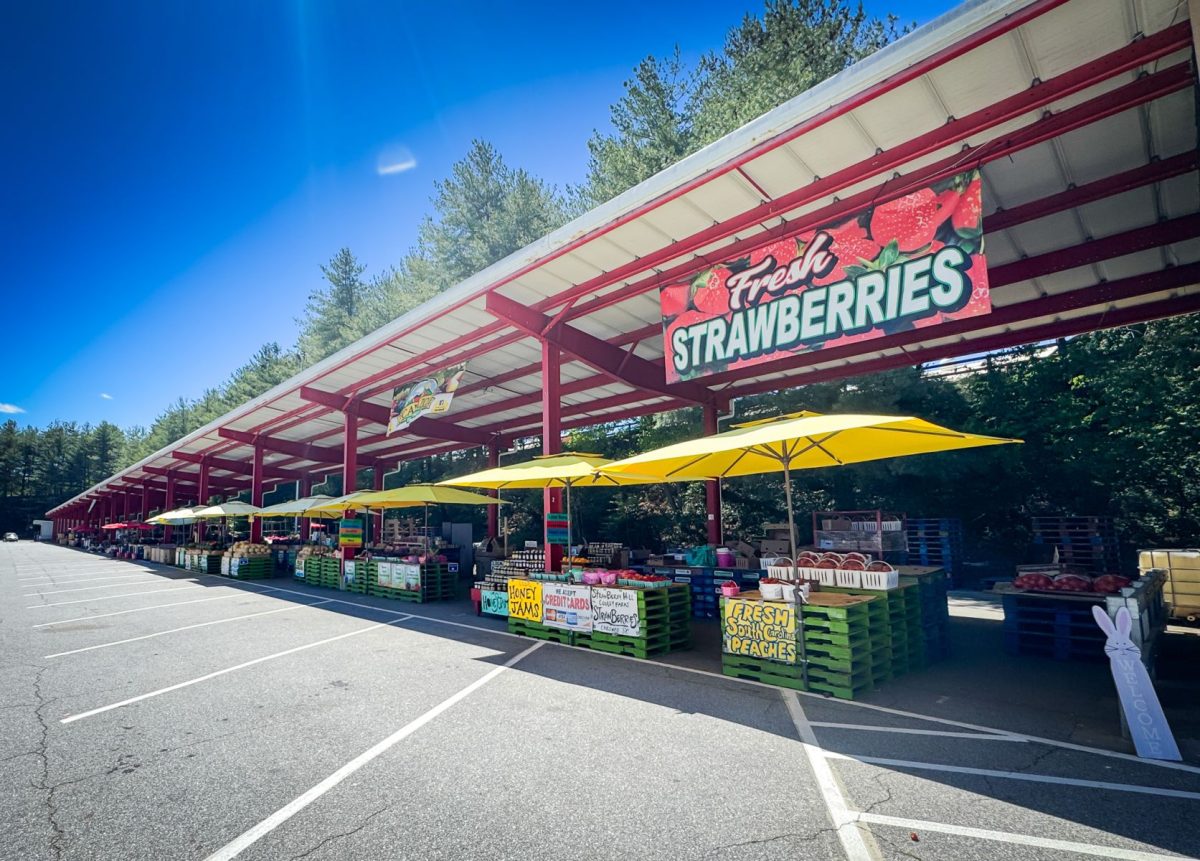 Open-air produce stands at the WNC Farmers Market in Asheville display fresh strawberries, peaches, and local goods beneath bright yellow umbrellas on a sunny mountain day.