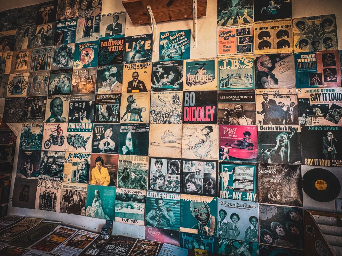 Vintage album covers displayed across a wall inside Voltage Records in downtown Asheville, featuring classic artists, soul, funk, rock, jazz, and blues records in a colorful collage of music history.