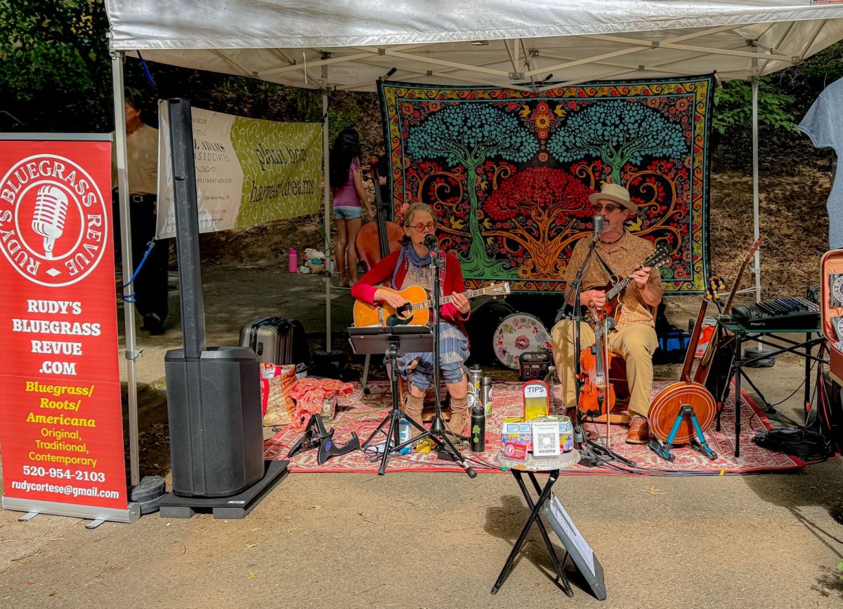 Musicians perform live bluegrass and Americana music beneath a vendor tent at the North Asheville Tailgate Market, adding local mountain culture and entertainment to the bustling farmers market experience.