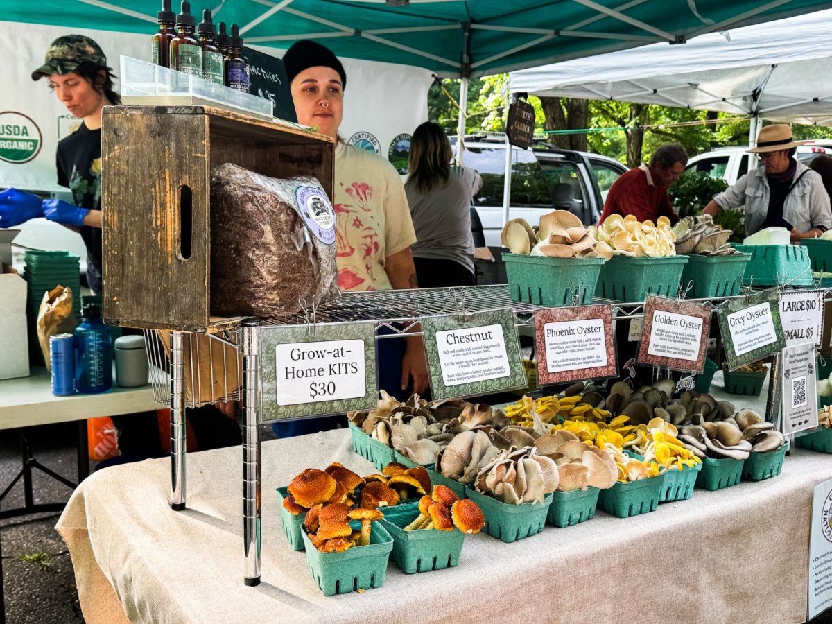 A specialty mushroom vendor displays colorful oyster mushrooms, chestnut mushrooms, and grow-at-home kits at the North Asheville Tailgate Market, showcasing the diversity of local farm products available in Western North Carolina.