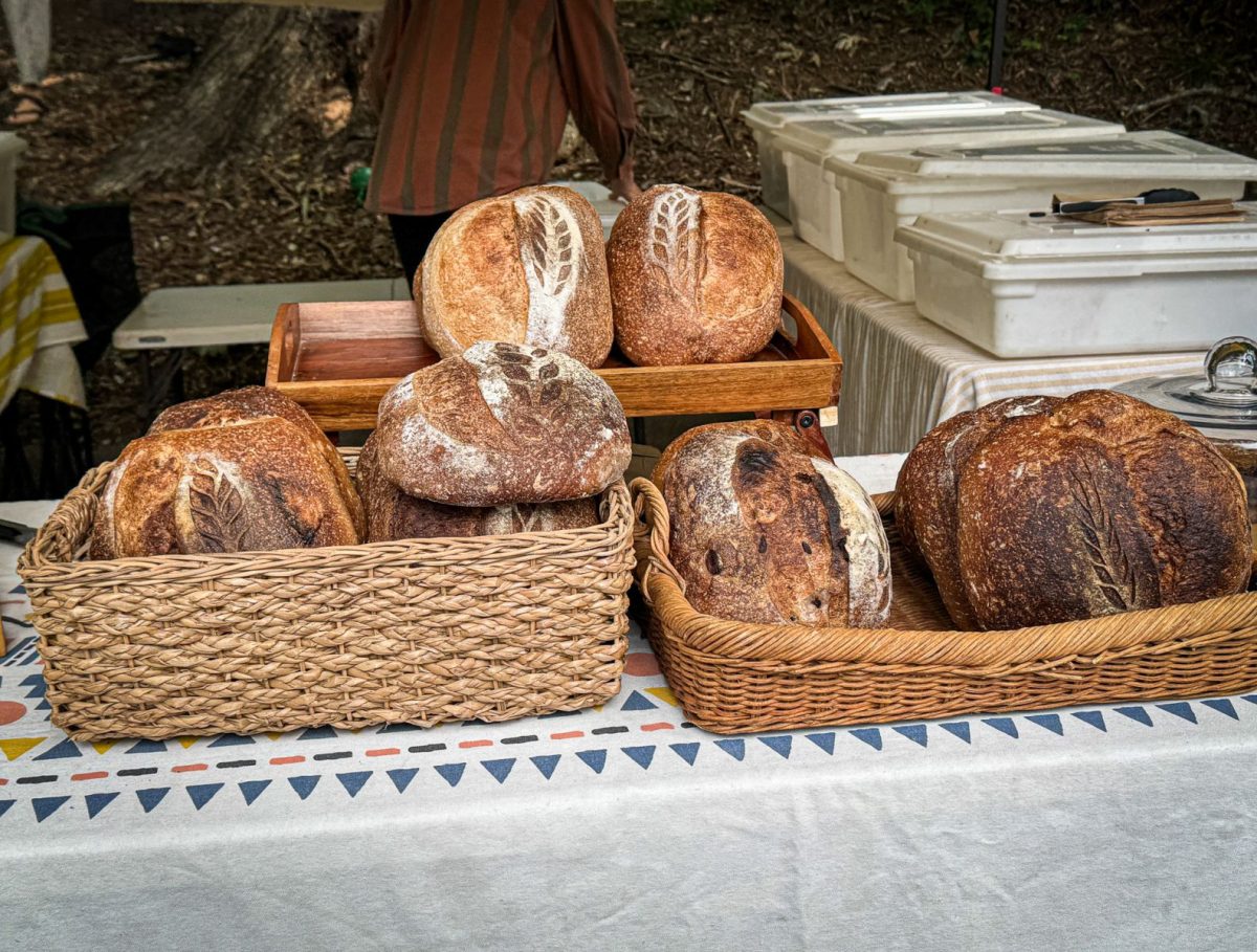 Artisan sourdough bread loaves displayed in woven baskets at the North Asheville Tailgate Market, featuring handcrafted scoring patterns and freshly baked crusts from a local baker.