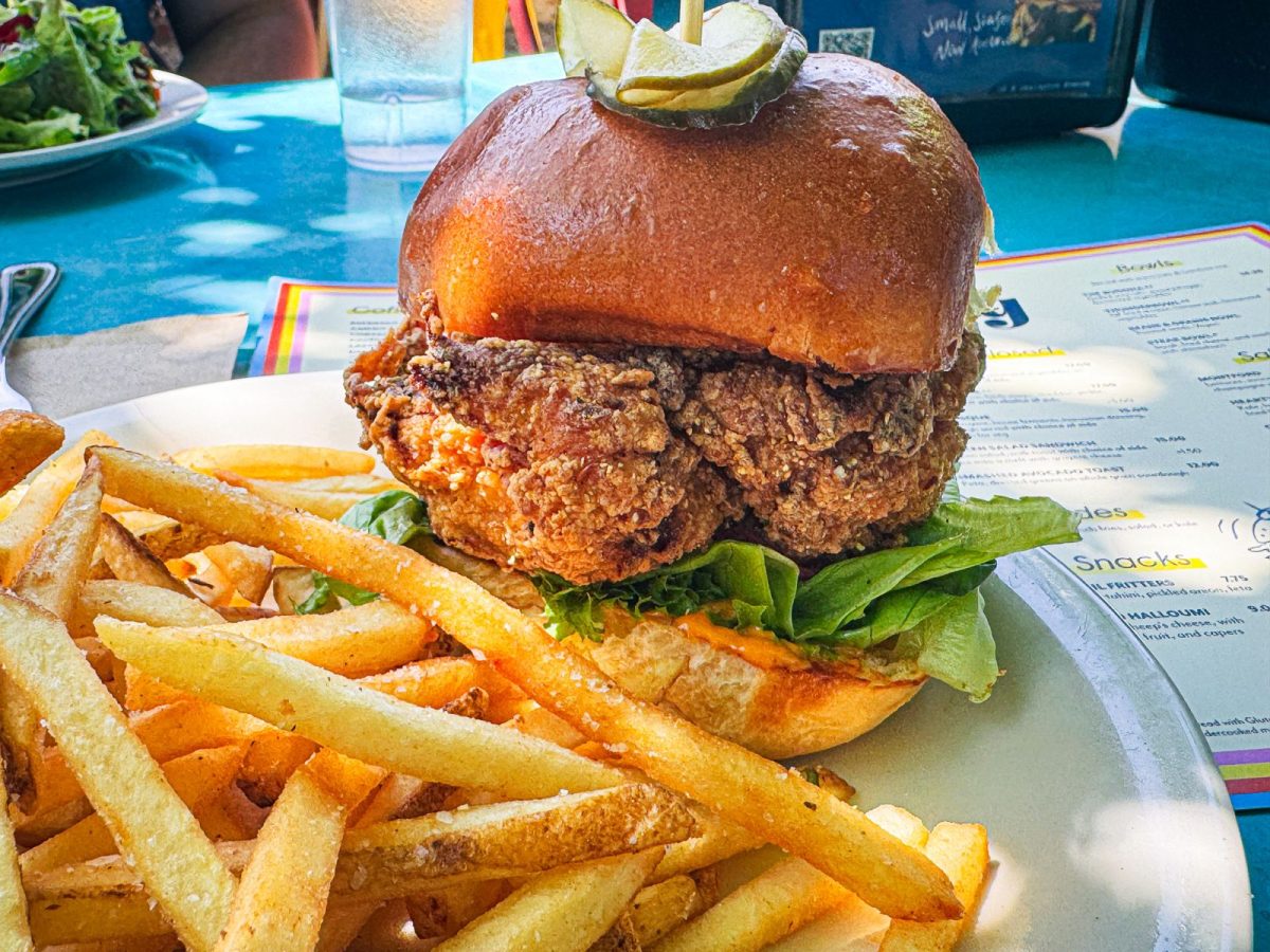 Close-up of All Day Darling's fried chicken sandwich on a brioche bun topped with pickles and served with crispy fries at the popular Montford café in Asheville, North Carolina.