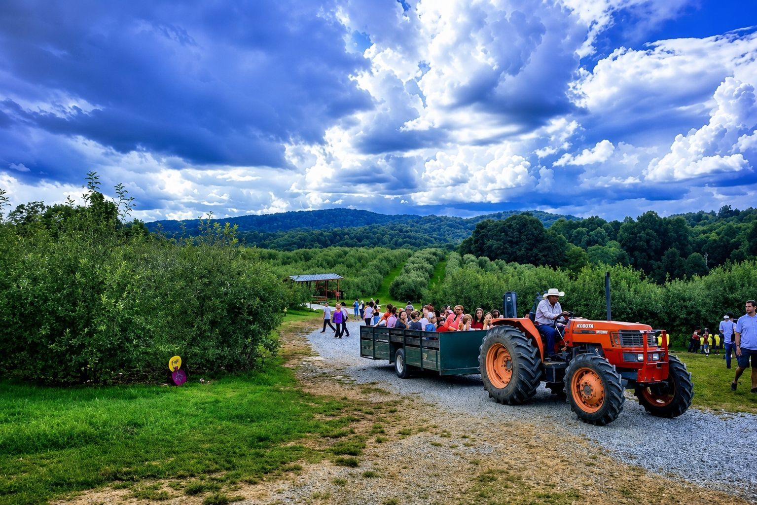 Tractor-pulled wagon carrying visitors through a lush apple orchard with rolling Blue Ridge Mountains and dramatic clouds in the background.