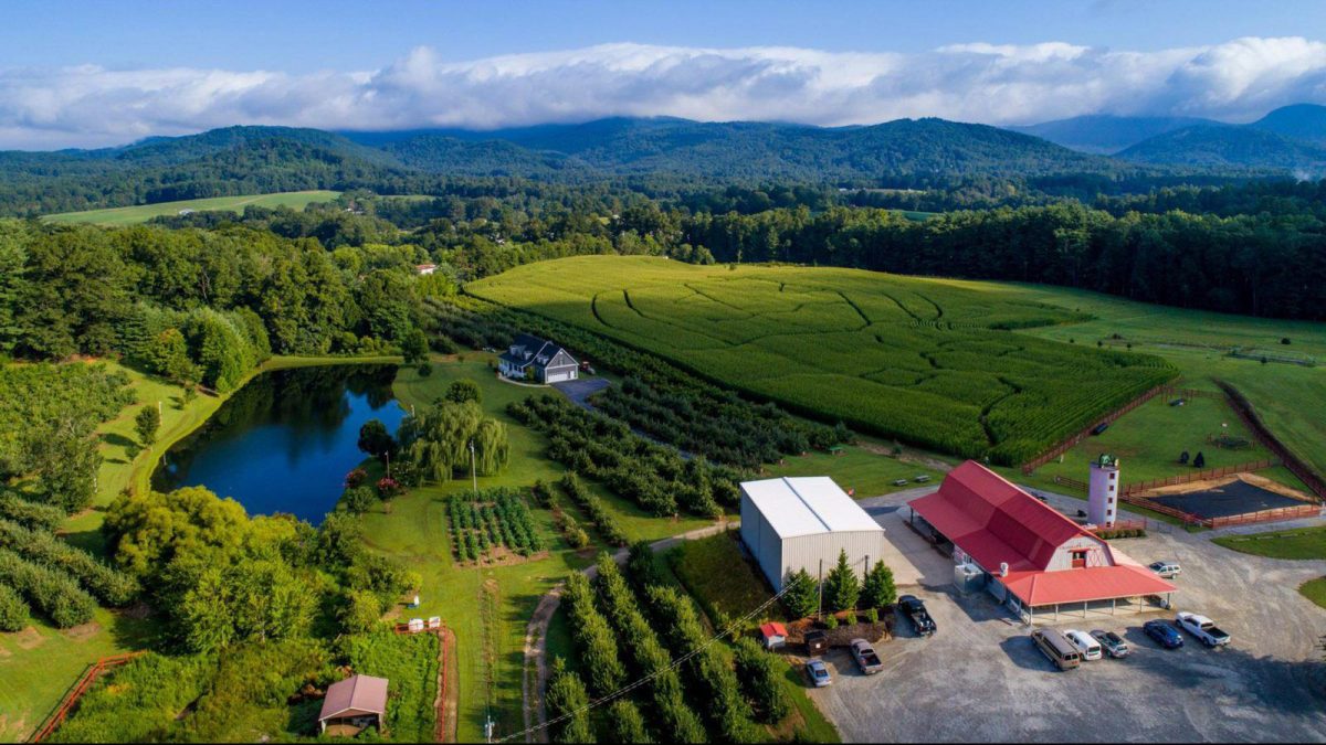 Aerial view of a Hendersonville-area apple orchard with fields, a pond, farm buildings, and the Blue Ridge Mountains in the distance.