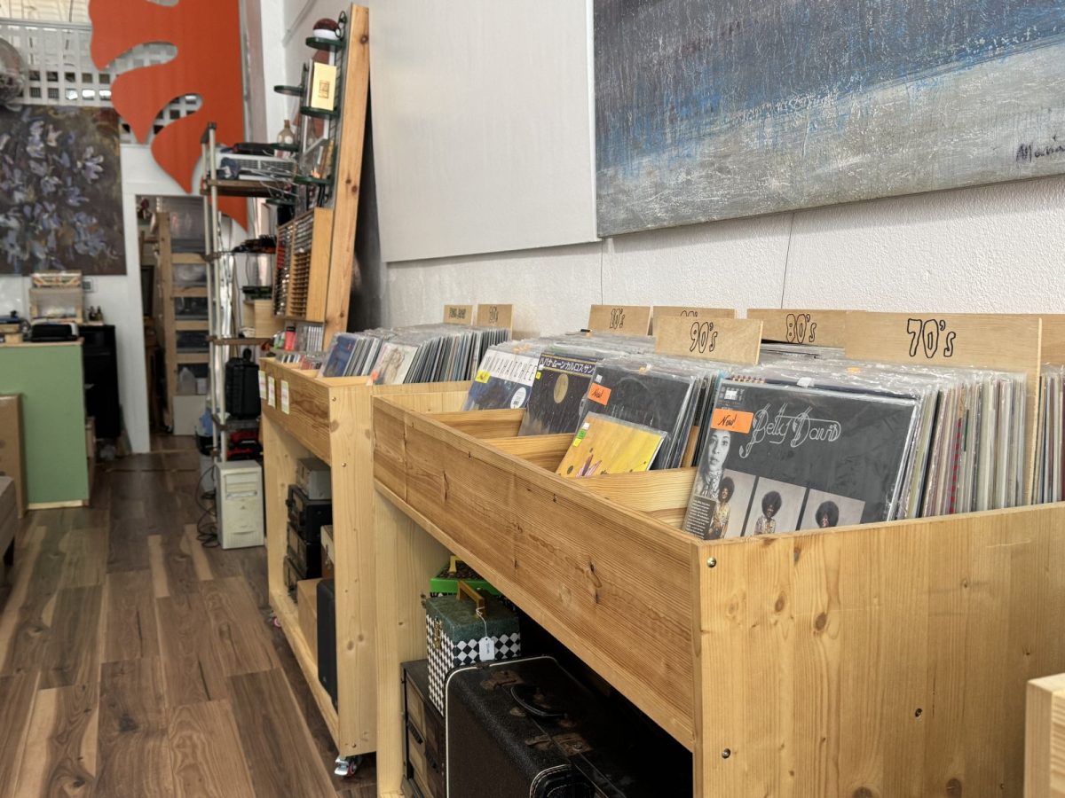 Rows of vinyl records organized by decade inside Oasis Record Shop in downtown Marshall, North Carolina, offering a diverse selection of classic albums and hidden musical gems.