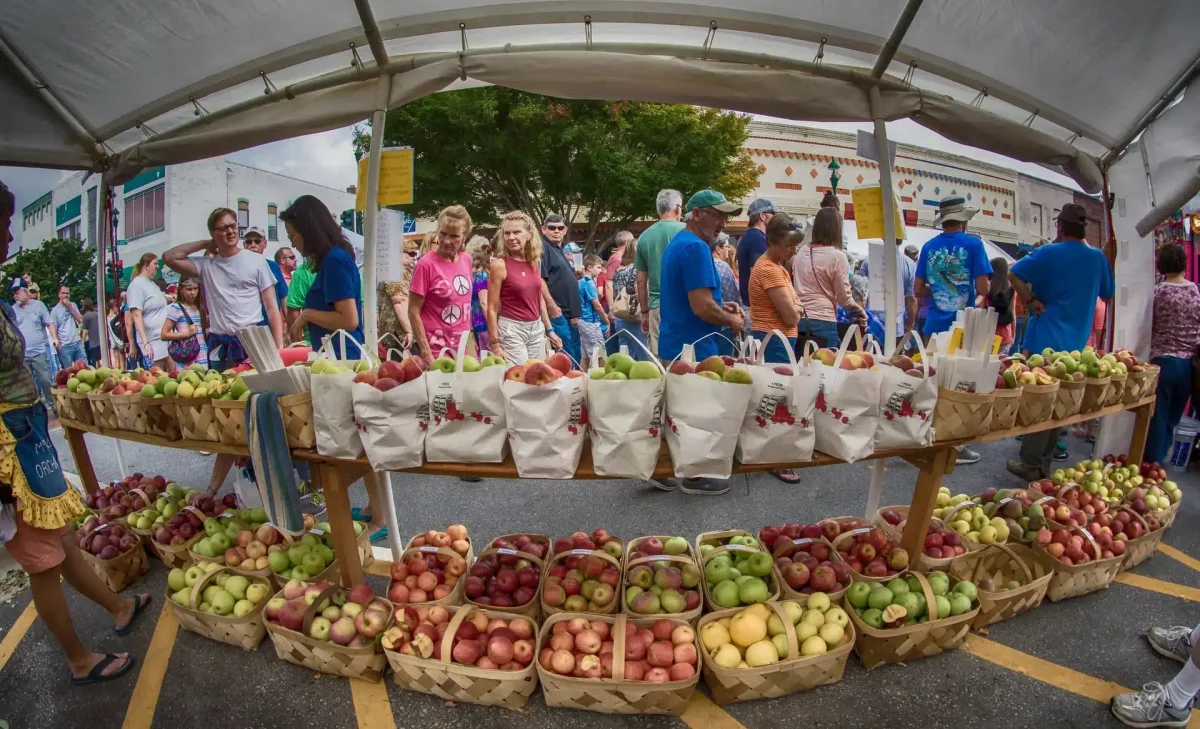 Baskets filled with red, green, and yellow apples displayed at a busy outdoor street festival in downtown Hendersonville, North Carolina.