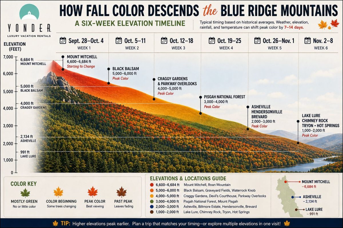 Infographic showing how peak fall color descends through the Blue Ridge Mountains near Asheville over six weeks, illustrating when different elevations—from Mount Mitchell to Lake Lure—typically reach peak autumn foliage.