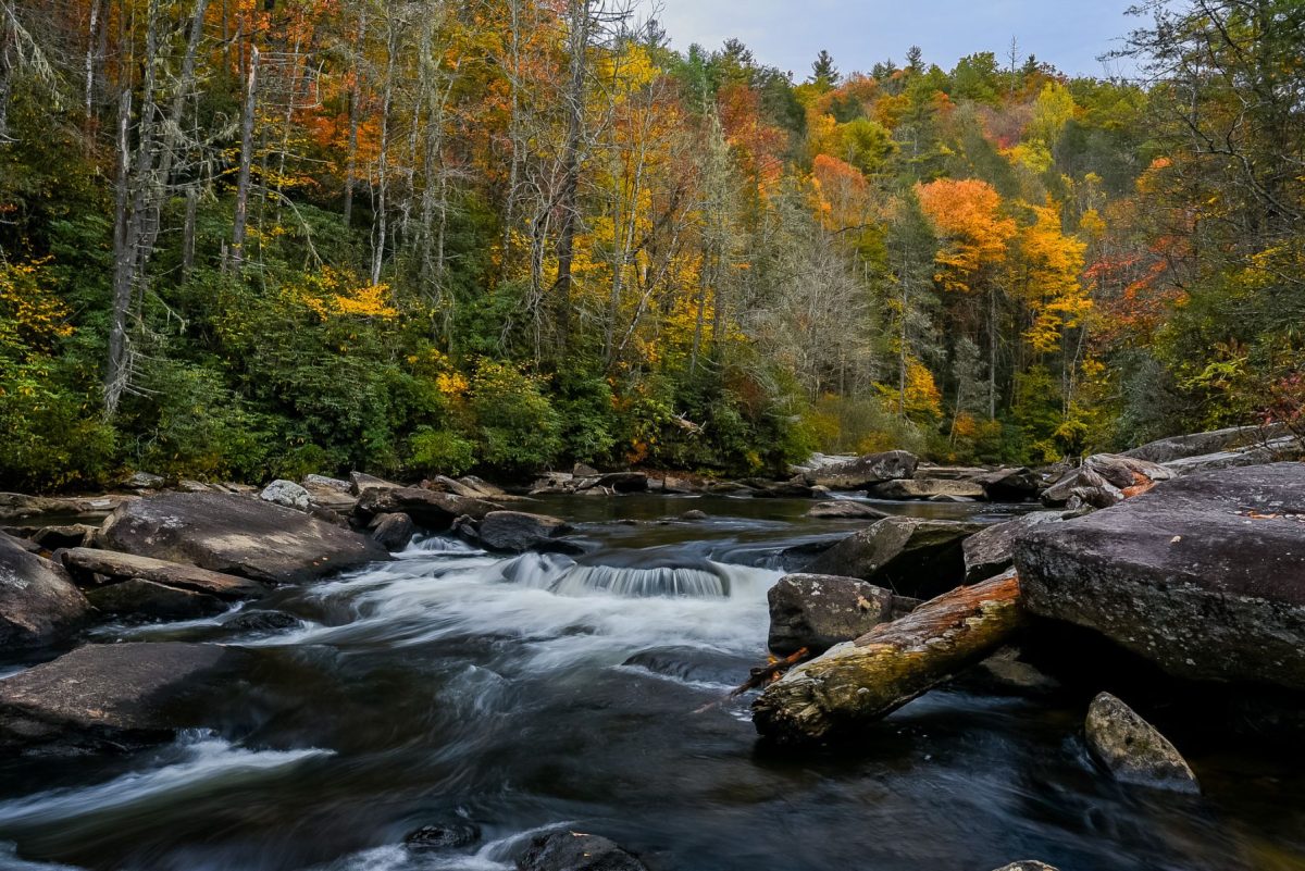 A peaceful mountain stream flows over smooth boulders beneath vibrant fall foliage in Pisgah National Forest, with brilliant shades of yellow, orange, red, and evergreen trees surrounding the water.