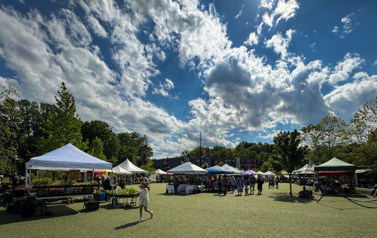 Visitors browse vendor tents at a lively Asheville farmers market on a sunny late-summer afternoon, with fresh produce, plants, artisan goods, and dramatic blue skies overhead.