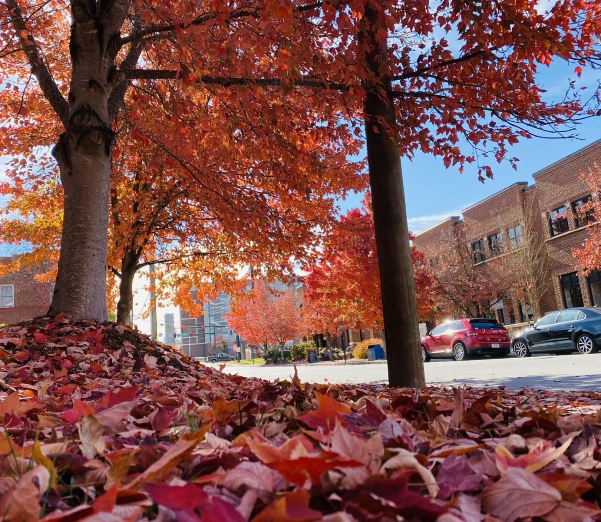Vibrant red and orange autumn trees line a downtown Asheville street, with colorful fallen leaves covering the sidewalk beneath a bright blue sky during peak fall foliage season.