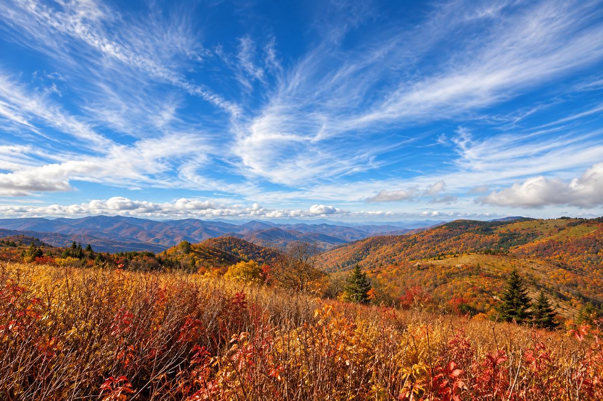 Sweeping fall views from Black Balsam Knob, with golden grasses, colorful foliage and layers of Blue Ridge Mountains beneath a dramatic blue sky.