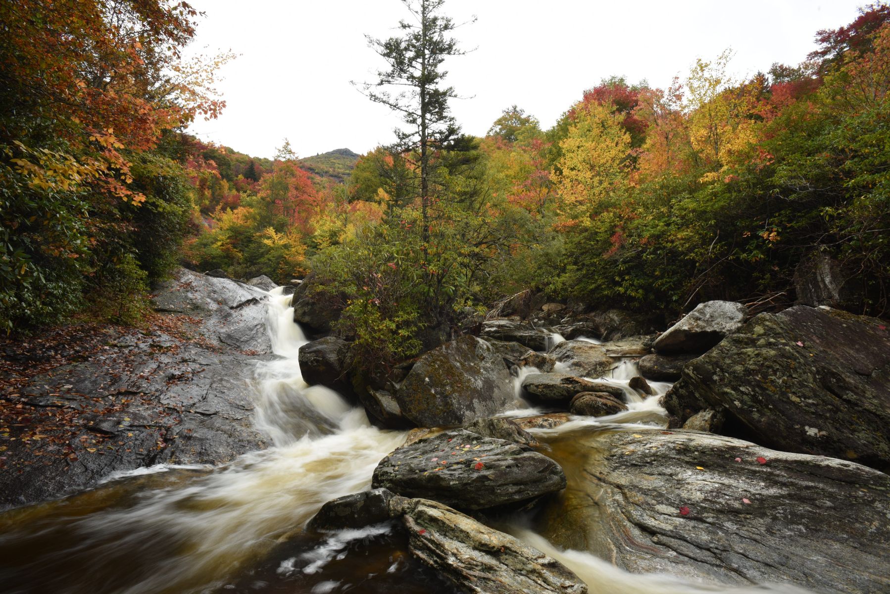 Mountain stream cascading over large rocks surrounded by vibrant red, orange, yellow, and green fall foliage in the Blue Ridge Mountains of Western North Carolina.