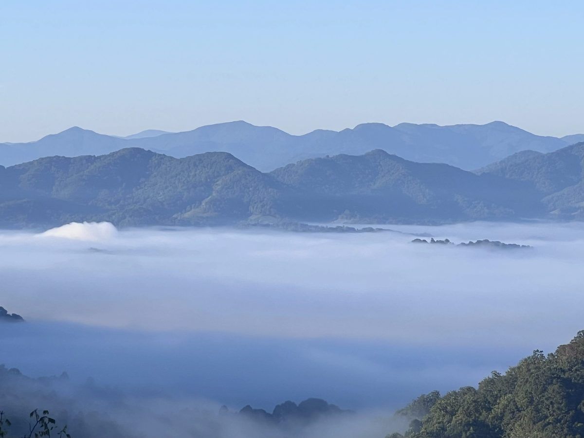 Early morning fog fills the valleys between layers of Blue Ridge Mountains near Asheville, illustrating the spectacular views that reward an early start.