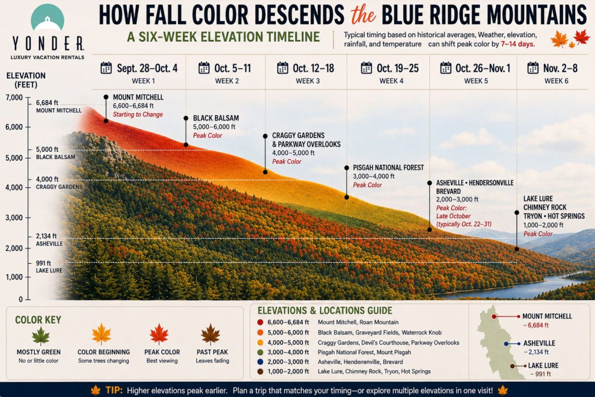 Six-week fall color timeline along the Blue Ridge Mountains, showing elevation-based color change and labeled landmarks (Mount Mitchell, Craggy Gardens, Pisgah National Forest)