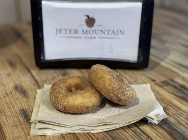 Two cinnamon-sugar apple cider doughnuts served at Jeter Mountain Farm near Hendersonville, North Carolina.