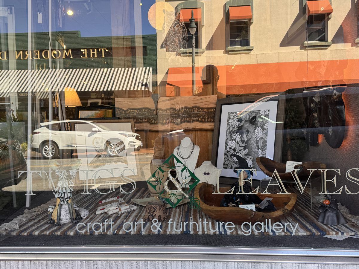 Window display at Twigs & Leaves art gallery in downtown Waynesville, North Carolina, featuring handcrafted jewelry, wildlife artwork, pottery, and locally inspired crafts.